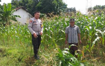 Bhabinkamtibmas Turun ke Desa, Warga Siap Tanam Jagung