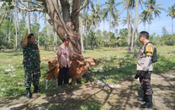 Bhabinkamtibmas Batulayar Giatkan Pertanian Pekarangan Warga
