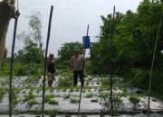 Sambang Warga, Bhabinkamtibmas Gaungkan Ketahanan Pangan Desa
