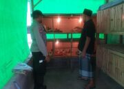Menggerakkan Ketahanan Pangan, Bhabinkamtibmas Jagaraga Kunjungi Peternak Ayam Mandiri