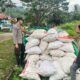 Bhabinkamtibmas Polsek Donggo Pantau Proses Pemanenan Jagung Warga Sukseskan Ketahanan Pangan Nasional