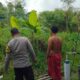 Sinergi Polri-Masyarakat Sekotong Wujudkan Ketahanan Pangan Mandiri