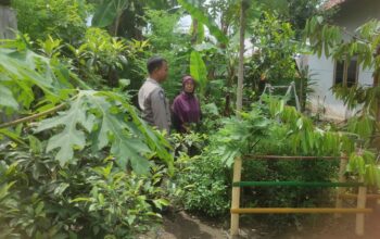 Bhabinkamtibmas Gerung Dukung Ketahanan Pangan Lewat Pekarangan Warga