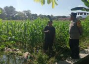 Bhabinkamtibmas Gerung Selatan Perkuat Ketahanan Pangan dan Kamtibmas Melalui Silaturahmi