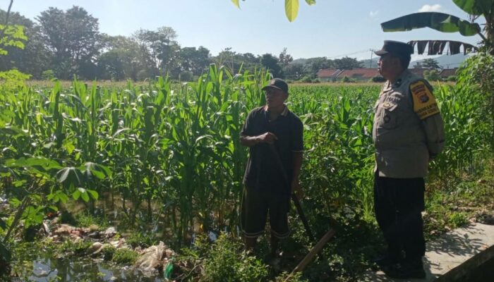 Motivasi Petani, Polisi di Gerung Sambangi Lahan Jagung Warga Binaan