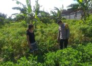 Ketahanan Pangan Desa Jagaraga Diperkuat Lewat Pendampingan Polri