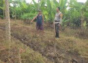 Bhabinkamtibmas Labuapi Gandeng Petani Tingkatkan Ketahanan Pangan dan Jaga Kamtibmas