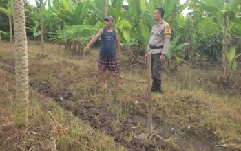 Bhabinkamtibmas Labuapi Gandeng Petani Tingkatkan Ketahanan Pangan dan Jaga Kamtibmas