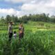 Sambang Lahan oleh Polri, Petani Mareje Terima Dukungan Langsung