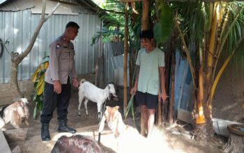 Bhabinkamtibmas Senggigi Gencarkan Edukasi Ketahanan Pangan di Dusun Krandangan