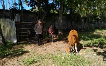 Bhabinkamtibmas Aktif Edukasi Pertanian di Desa Senggigi