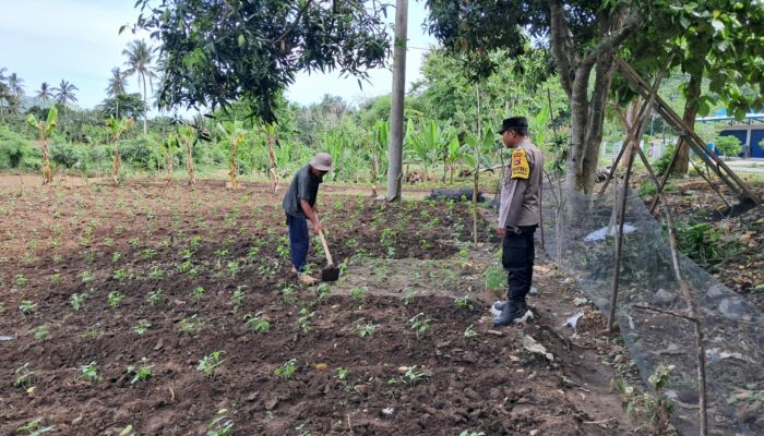 Bhabinkamtibmas Aktif Edukasi Pertanian Rumah Tangga di Sekotong