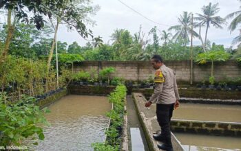 Ketahanan Pangan Dimulai dari Dusun Pesongoran, Lombok Barat