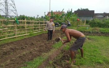 Lahan Pekarangan di Jagaraga Jadi Solusi Ketahanan Pangan