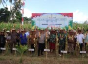 Dukungan Penuh Polri dan Pemda dalam Panen Raya Jagung NTB
