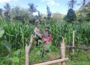 Peran Bhabinkamtibmas Desa Sekotong Timur dalam Program Pangan Nasional