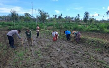 Peran Polri Dalam Swasembada Pangan di Sekotong, NTB
