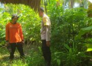 Polres Lombok Barat Dorong Swasembada Pangan Lewat Bhabinkamtibmas