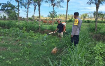 Sinergi Polri-Warga Pelangan Wujudkan Swasembada Pangan