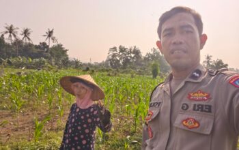 Program Ketahanan Pangan Diperkuat Lewat Kunjungan Polsek Lembar ke Petani
