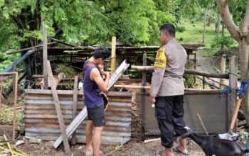 Ketahanan Pangan di Senggigi: Polisi Turun Tangan Bantu Petani