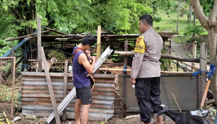 Dusun Krandangan Kembangkan Pangan Lokal, Didampingi Bhabinkamtibmas