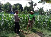 Dukung Ketahanan Pangan, Polisi Ajak Petani Manfaatkan Lahan Kosong