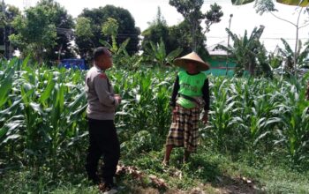 Dukung Ketahanan Pangan, Polisi Ajak Petani Manfaatkan Lahan Kosong