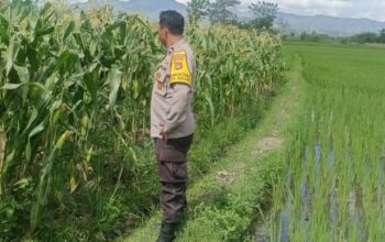 Mitra Tani: Peran Polisi dalam Mewujudkan Pangan Mandiri