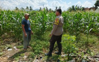 Polres Lombok Barat Dorong Ketahanan Pangan Desa Jembatan Gantung