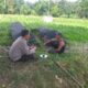 Polres Lombok Barat Perkuat Ketahanan Pangan Lewat Pendampingan Petani di Lembar