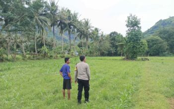 Bhabinkamtibmas Cendi Manik Dorong Ketahanan Pangan Lewat Kunjungan ke Petani