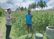 Perkuat Ketahanan Pangan, Polisi Bina Petani Jagung di Sekotong