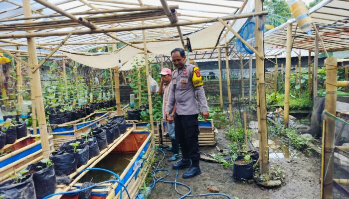 Ketahanan Pangan di Lombok Barat: Polsek Labuapi Fasilitasi Pemanfaatan Lahan Kosong