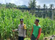 Inisiatif Ketahanan Pangan di Desa Pelangan: Kolaborasi Warga dan Bhabinkamtibmas