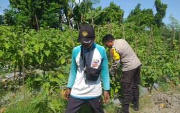 Ketahanan Pangan Diperkuat, Bhabinkamtibmas Gandeng Petani Jagaraga