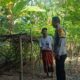 Pemanfaatan Pekarangan Jadi Kunci Kemandirian Pangan Warga Babussalam