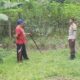 Pekarangan Produktif di Bengkaung, Langkah Nyata Warga Jaga Pangan