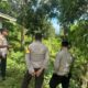 Polsek Lembar Dorong Pertanian Tumpang Sari di HKM Lendang Damai Timur