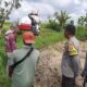 Sinergi Petani dan Polisi di Kediri Lombok Barat, Wujudkan Swasembada Jagung