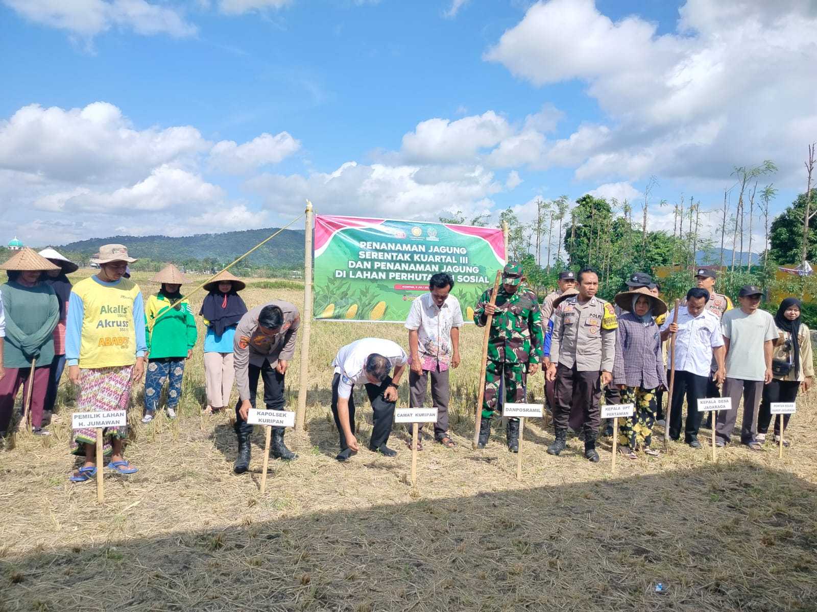 Sinergi Polri, TNI, dan Warga Dukung Swasembada Pangan di Jagaraga, Kuripan
