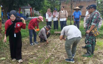 Sinergi Polsek Batulayar dan Warga Sandik Tanam Jagung Dukung Ketahanan Pangan