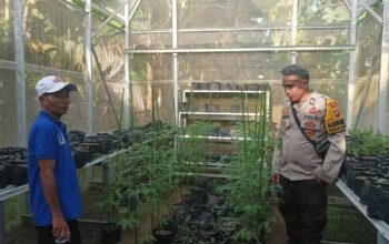 Sinergi Polsek Batulayar dan Warga untuk Pangan Mandiri