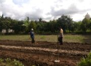 Bhabinkamtibmas Kediri Dorong Ketahanan Pangan di Plowok Selatan