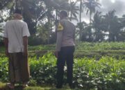 Polisi Ajak Warga Mareje Tanam Pangan Sendiri
