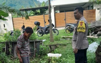 Pemanfaatan Lahan Kosong di Dusun Krandangan Jadi Contoh Ketahanan Pangan Lokal