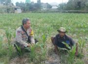 Dorong Ketahanan Pangan, Bhabinkamtibmas Desa Sandik Ajak Warga Manfaatkan Pekarangan
