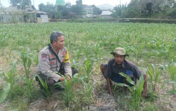 Dorong Ketahanan Pangan, Bhabinkamtibmas Desa Sandik Ajak Warga Manfaatkan Pekarangan