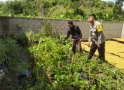 Inisiatif Humanis Polri di Sekotong Tengah, Edukasi Pangan dari Pekarangan Rumah