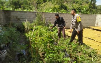 Inisiatif Humanis Polri di Sekotong Tengah, Edukasi Pangan dari Pekarangan Rumah